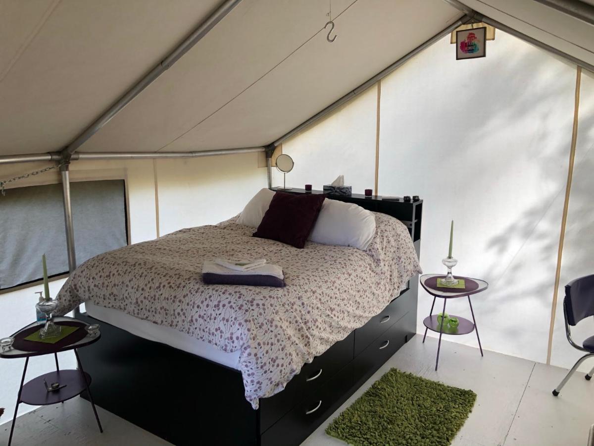 Vines And Puppies Glamping Hideaway Luxury tent